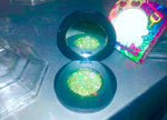 PRESSED GLITTERS! *Silver/Gold Collection* - inkeddollcosmetics